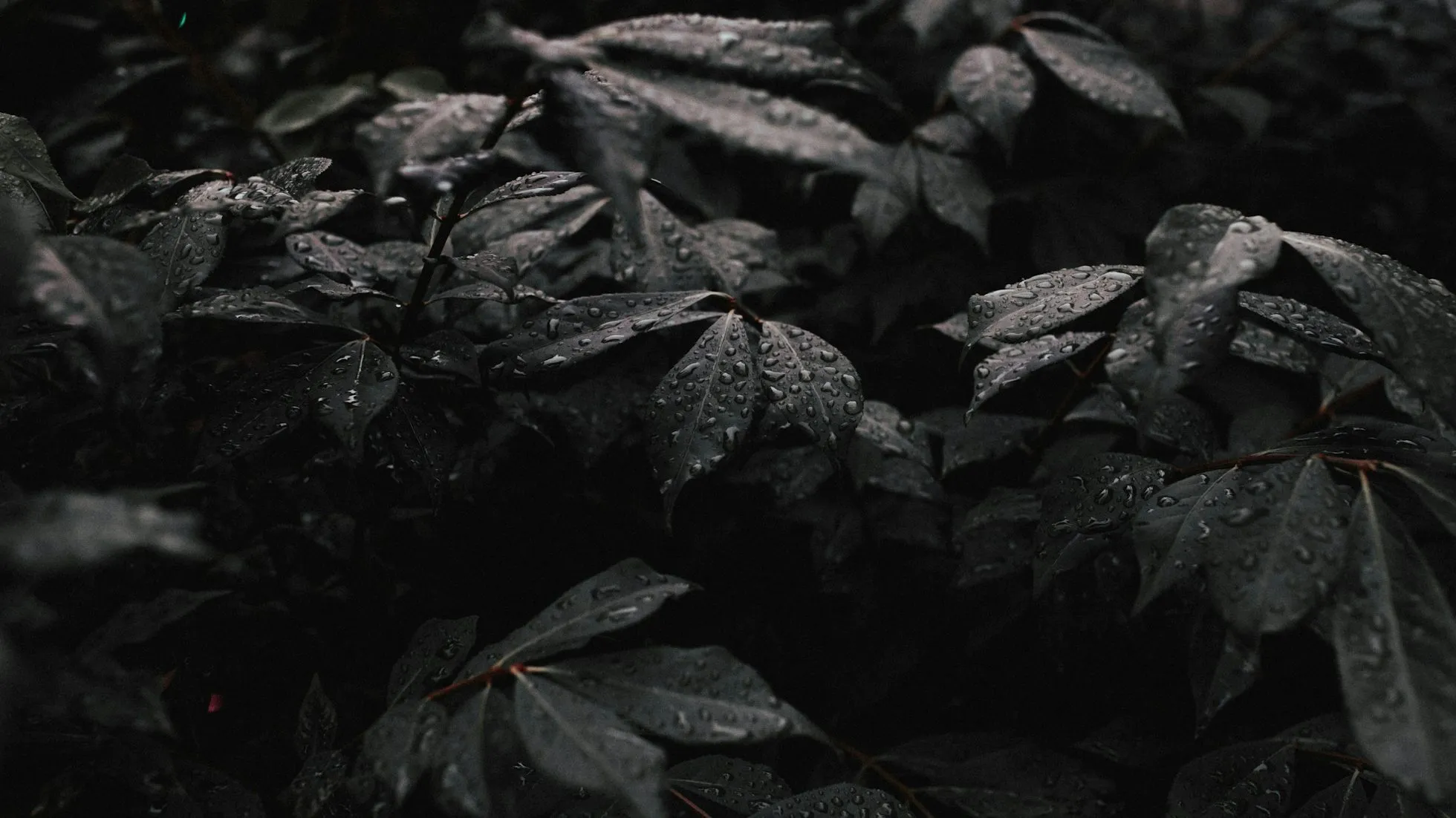 Share state between Islands