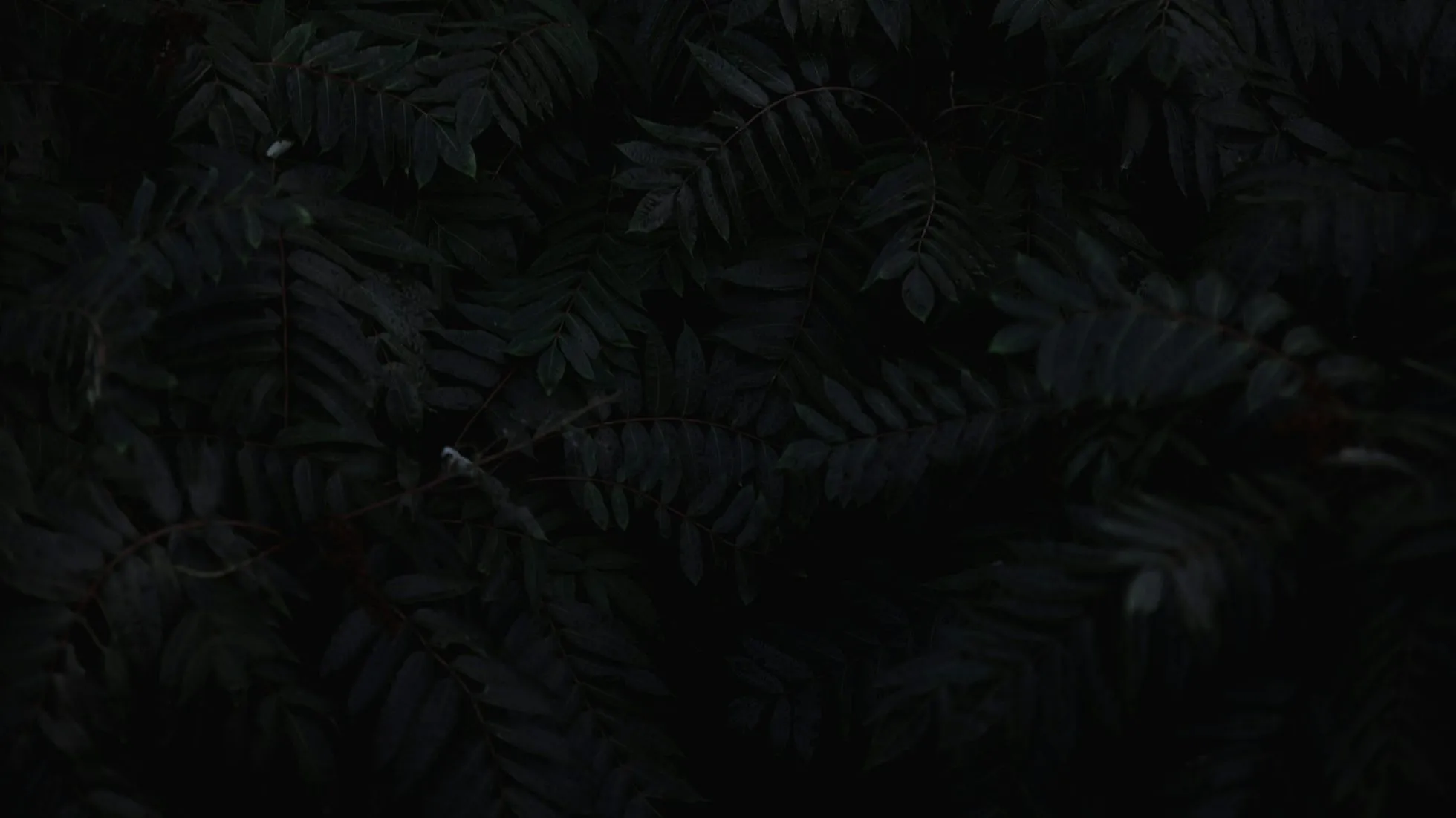 You can spot an Astro component