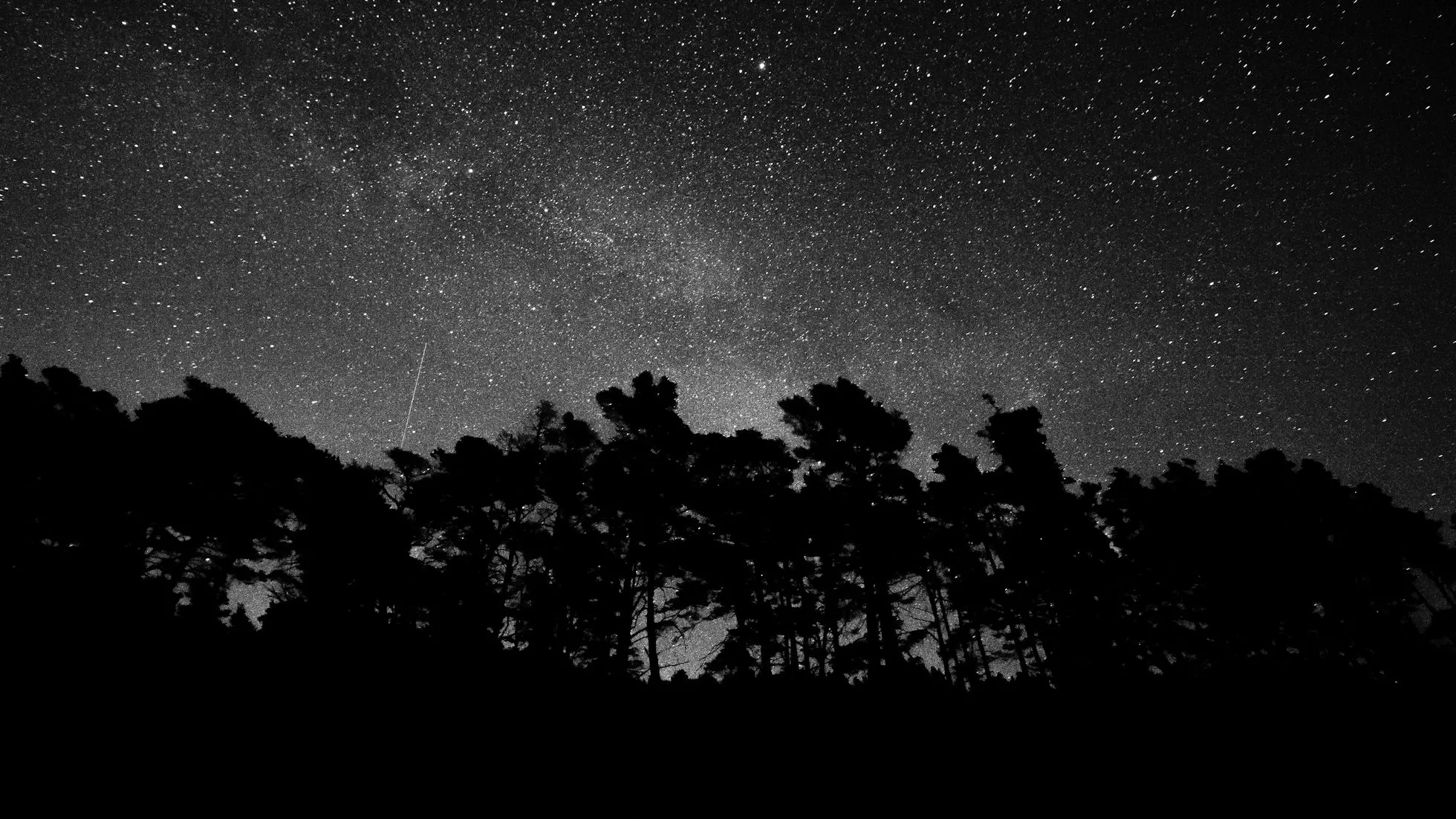 You can include JavaScript code