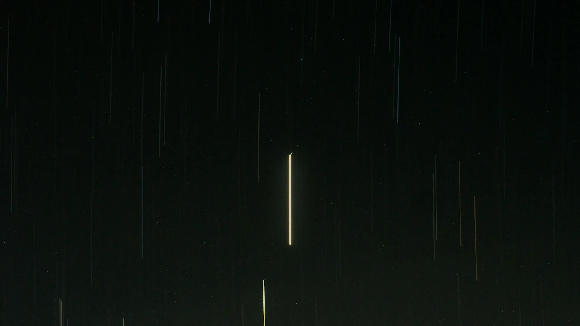 Convallis a cras semper auctor neque